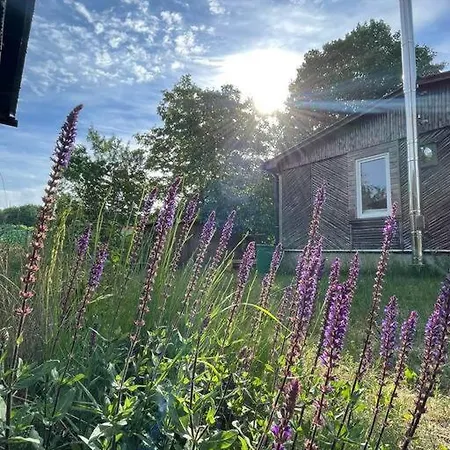 Haus Am Grimnitzsee Mit Sauna Apartment *