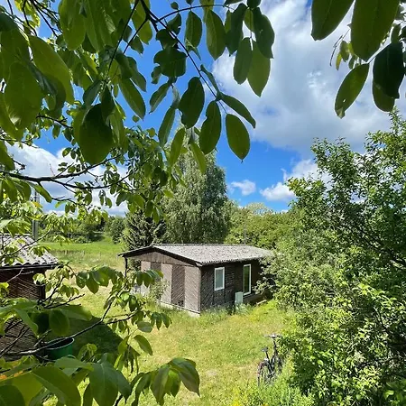 Apartment Haus Am Grimnitzsee Mit Sauna