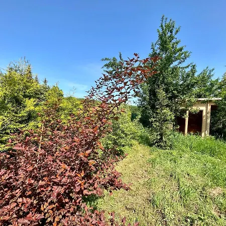 Haus Am Grimnitzsee Mit Sauna Joachimsthal