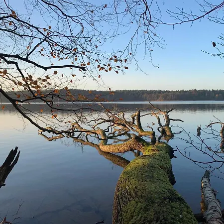 Haus 8 Am Grimnitzsee Mit Sauna *