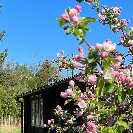 Appartamento Haus 8 Am Grimnitzsee Mit Sauna