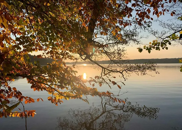 Haus 8 Am Grimnitzsee Mit Sauna Apartament *