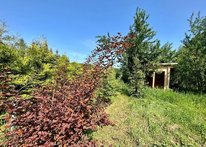 Haus 8 Am Grimnitzsee Mit Sauna Joachimsthal