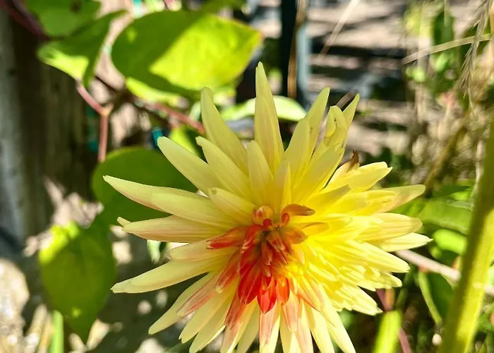 Haus 8 Am Grimnitzsee Mit Sauna