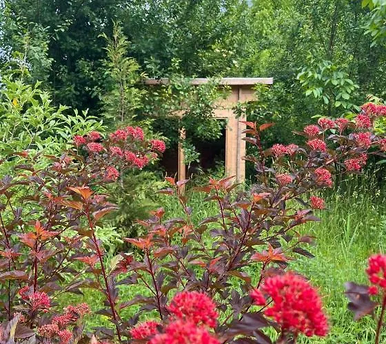 Apartament Haus 8 Am Grimnitzsee Mit Sauna *