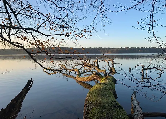 Haus 8 Am Grimnitzsee Mit Sauna *