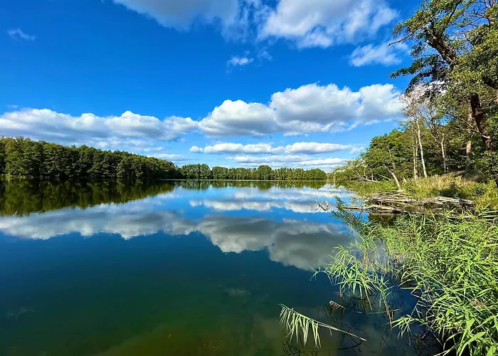 Haus 8 Am Grimnitzsee Mit Sauna Apartament Joachimsthal