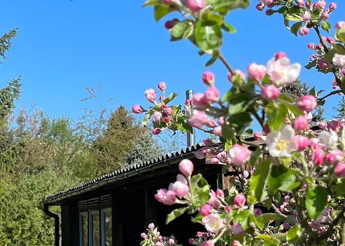 Apartament Haus 8 Am Grimnitzsee Mit Sauna